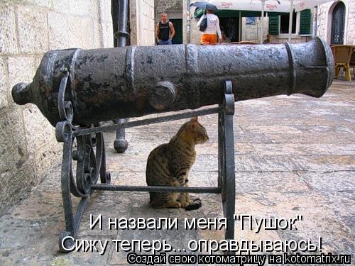 И назвали меня "Пушок" Сижу теперь...оправдываюсь!... Котоматрица: И назвали меня "Пушок" Сижу теперь...оправдываюсь!