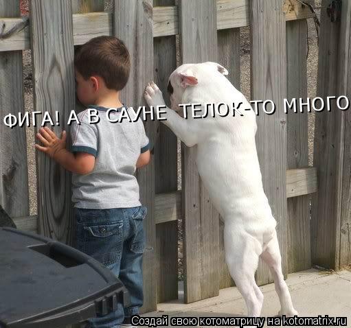 Котоматрица: ФИГА! А В САУНЕ  ТЕЛОК-ТО МНОГО!!!
