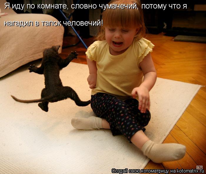 Я иду по комнате, словно чумачечий, потому что я нагадил в тапок человечий!... Котоматрица: Я иду по комнате, словно чумачечий, потому что я нагадил в тапок человечий!