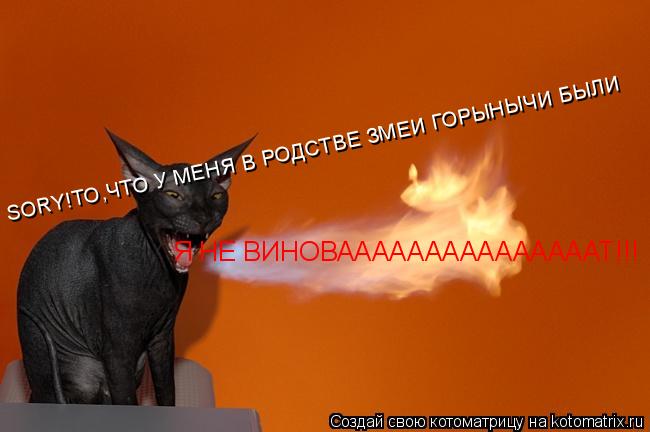 Котоматрица: SORY!ТО,ЧТО У МЕНЯ В РОДСТВЕ ЗМЕИ ГОРЫНЫЧИ БЫЛИ Я НЕ ВИНОВАААААААААААААААТ!!!