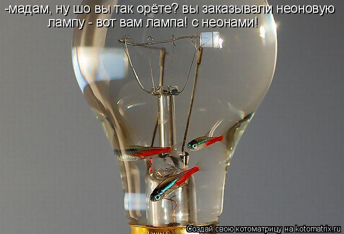 -мадам, ну шо вы так орёте? вы заказывали неоновую лампу - вот вам лампа! с неонами!... Котоматрица: -мадам, ну шо вы так орёте? вы заказывали неоновую лампу - вот вам лампа! с неонами!