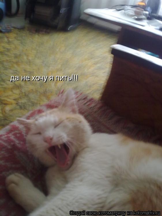 Котоматрица: да не хочу я пить!!!