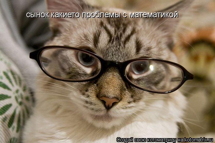 сынок какието проблемы с математикой... Котоматрица: сынок какието проблемы с математикой