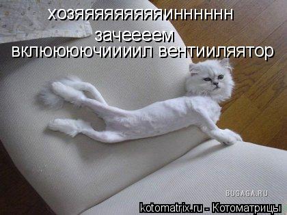 Котоматрица: хозяяяяяяяяяинннннн хозяяяяяяяяяинннннн зачеееем зачеееем вклюююючиииил вентииляятор