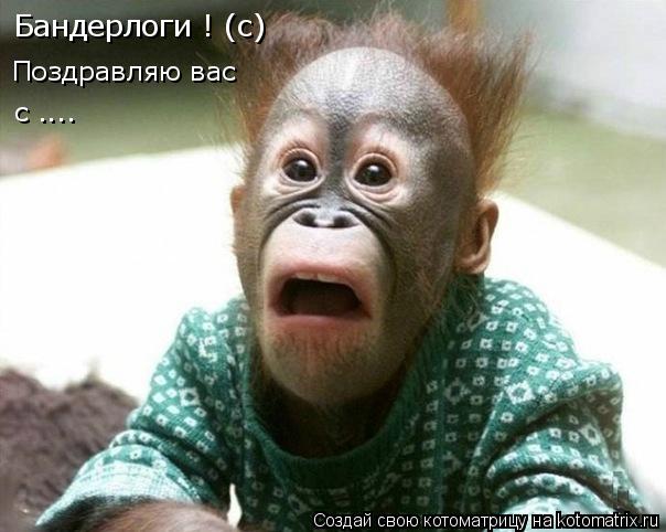 Бандерлоги ! (с) Поздравляю вас с ....... Котоматрица: Бандерлоги ! (с) Поздравляю вас с ....