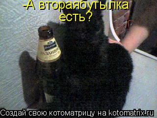 Котоматрица: -А втораябутылка есть?