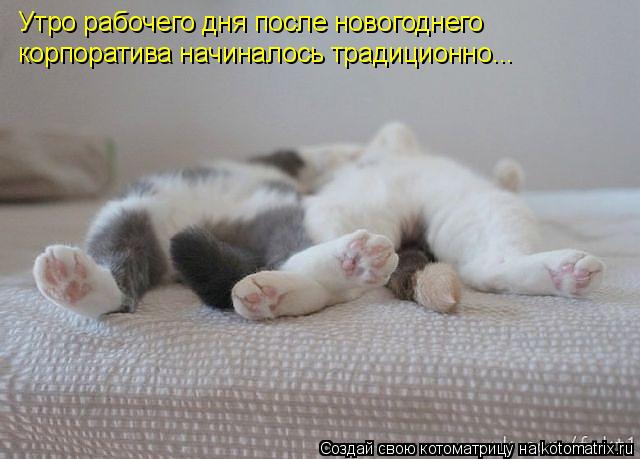 Утро рабочего дня после новогоднего корпоратива начиналось традиционно...... Котоматрица: Утро рабочего дня после новогоднего корпоратива начиналось традиционно...