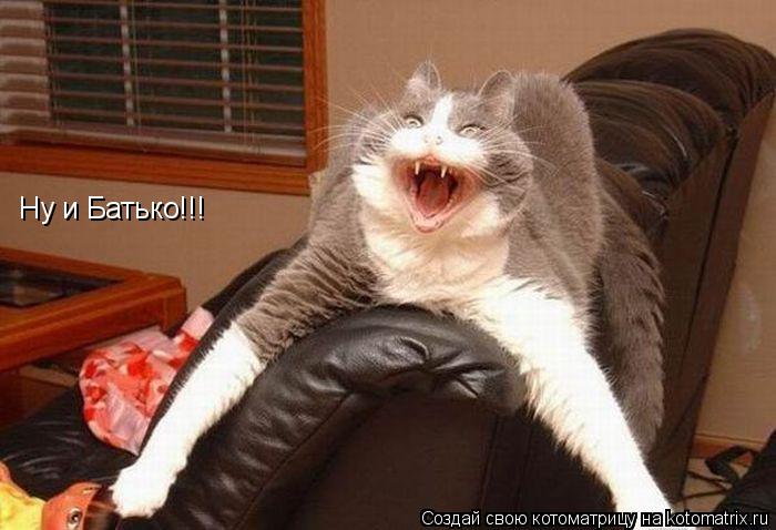 Ну и Батько!!!... Котоматрица: Ну и Батько!!!