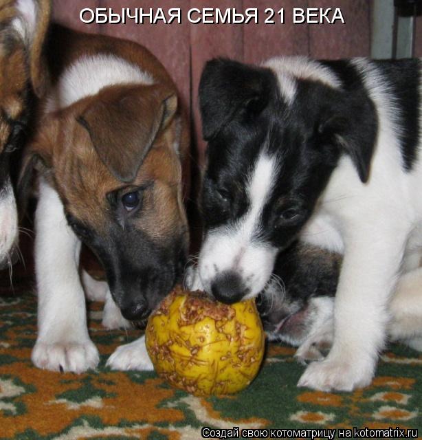 ОБЫЧНАЯ СЕМЬЯ 21 ВЕКА... Котоматрица: ОБЫЧНАЯ СЕМЬЯ 21 ВЕКА