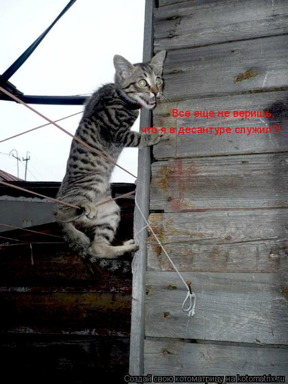 Все еще не веришь, что я в десантуре служил?!... Котоматрица: Все еще не веришь, что я в десантуре служил?!