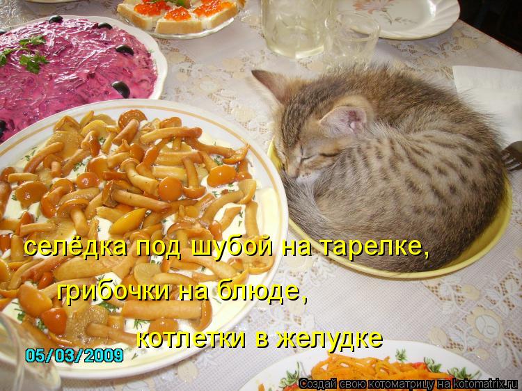 селёдка под шубой на тарелке, грибочки на блюде, котлетки в желудке... Котоматрица: селёдка под шубой на тарелке, грибочки на блюде, котлетки в желудке