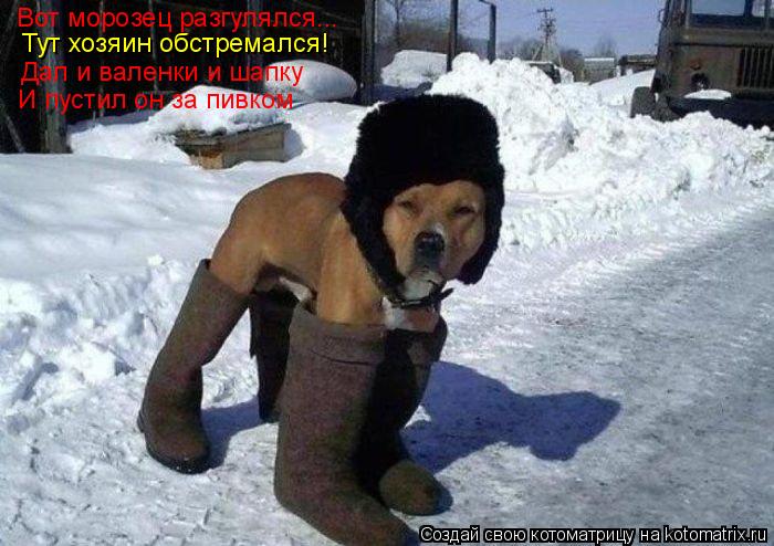 Тут хозяин обстремался! Дал и валенки и шапку И пустил он за пивком Вот морозец разгулялся...... Котоматрица: Тут хозяин обстремался! Дал и валенки и шапку И пустил он за пивком Вот морозец разгулялся...