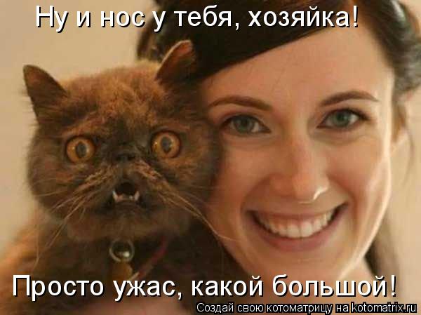 Ну и нос у тебя, хозяйка! Просто ужас, какой большой!... Котоматрица: Ну и нос у тебя, хозяйка! Просто ужас, какой большой!