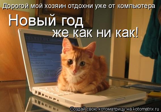 Дорогой мой хозяин отдохни уже от компьютера Новый год же как ни как!... Котоматрица: Дорогой мой хозяин отдохни уже от компьютера Новый год же как ни как!