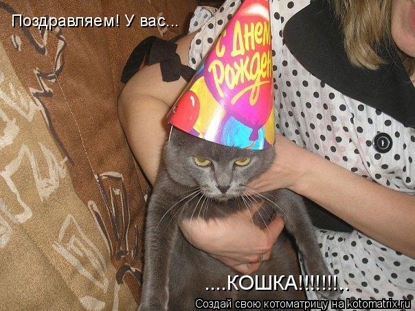Поздравляем! У вас... ....КОШКА!!!!!!!..... Котоматрица: Поздравляем! У вас... ....КОШКА!!!!!!!..