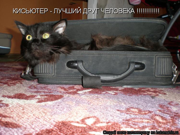 КИСЬЮТЕР - ЛУЧШИЙ ДРУГ ЧЕЛОВЕКА !!!!!!!!!!!!... Котоматрица: КИСЬЮТЕР - ЛУЧШИЙ ДРУГ ЧЕЛОВЕКА !!!!!!!!!!!!