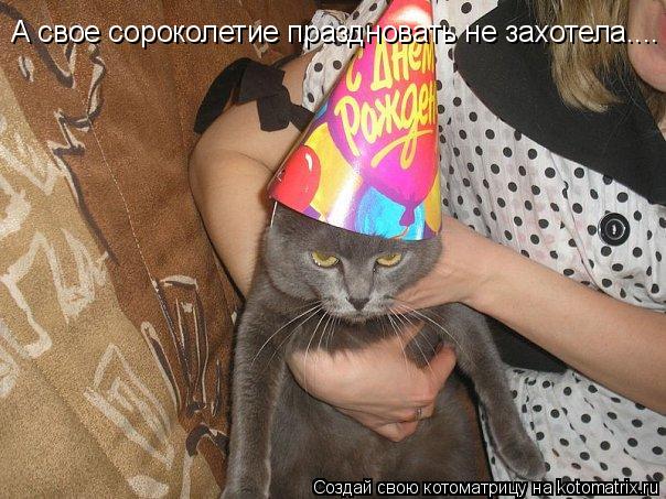 А свое сороколетие праздновать не захотела....... Котоматрица: А свое сороколетие праздновать не захотела....