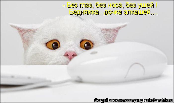 - Без глаз, без носа, без ушей ! Бедняжка.. дочка алкашей....... Котоматрица: - Без глаз, без носа, без ушей ! Бедняжка.. дочка алкашей....