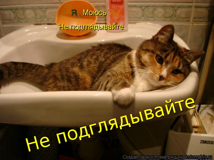 Котоматрица: Я  Моюсь  Не подглядывайте  Не подглядывайте