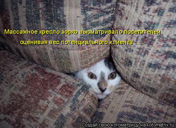 Массажное кресло зорко высматривало посетителей, оценивая вес потенциального клиента ........ Котоматрица: Массажное кресло зорко высматривало посетителей, оценивая вес потенциального клиента .....