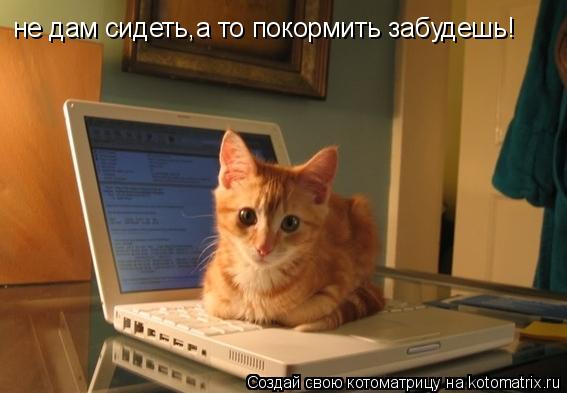 Котоматрица: не дам сидеть,а то покормить забудешь!