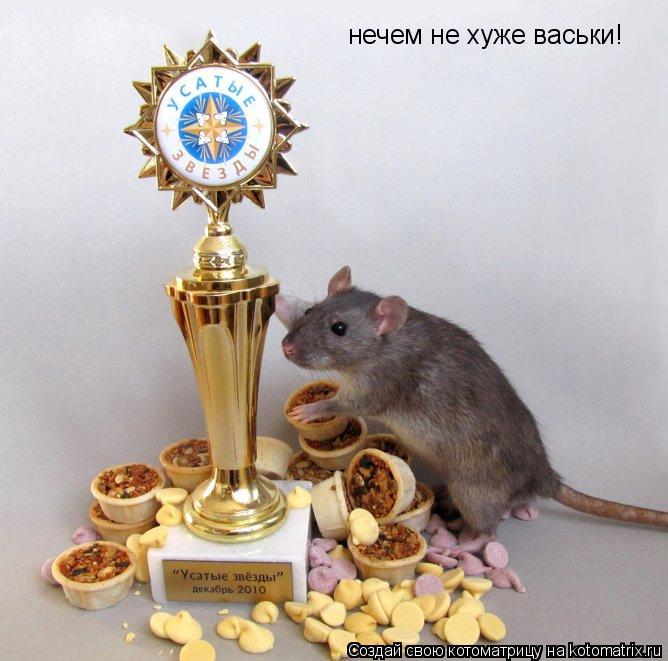 Котоматрица: нечем не хуже васьки!