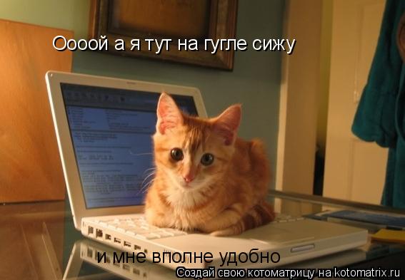 Оооой а я тут на гугле сижу и мне вполне удобно... Котоматрица: Оооой а я тут на гугле сижу и мне вполне удобно