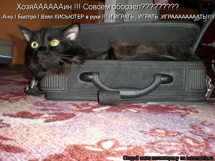 Котоматрица: ХозяААААААин !!! Совсем оборзел????????? А-ну ! Быстро ! Взял КИСЬЮТЕР в руки !!! И ИГРАТЬ , ИГРАТЬ ,ИГРААААААААТЬ!!!!!!