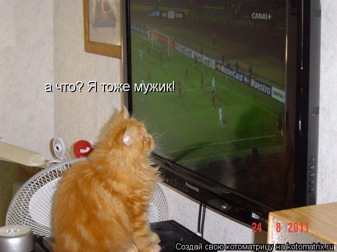 Котоматрица: а что? Я тоже мужик!