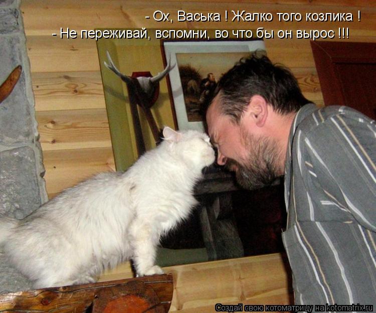 Котоматрица: - Ох, Васька ! Жалко того козлика ! - Не переживай, вспомни, во что бы он вырос !!!