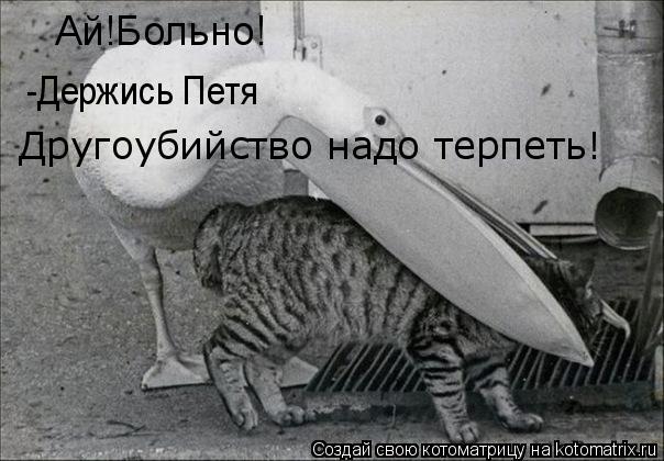Котоматрица: Ай!Больно! -Держись Петя Другоубийство надо терпеть!