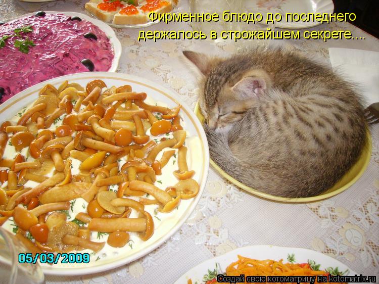 Фирменное блюдо до последнего держалось в строжайшем секрете....... Котоматрица: Фирменное блюдо до последнего держалось в строжайшем секрете....