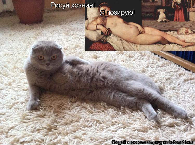 Рисуй хозяин! Я позирую!... Котоматрица: Рисуй хозяин! Я позирую!