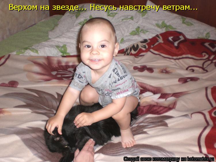 Котоматрица: Верхом на звезде... Несусь навстречу ветрам...