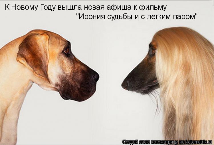 Котоматрица: К Новому Году вышла новая афиша к фильму "Ирония судьбы и с лёгким паром"