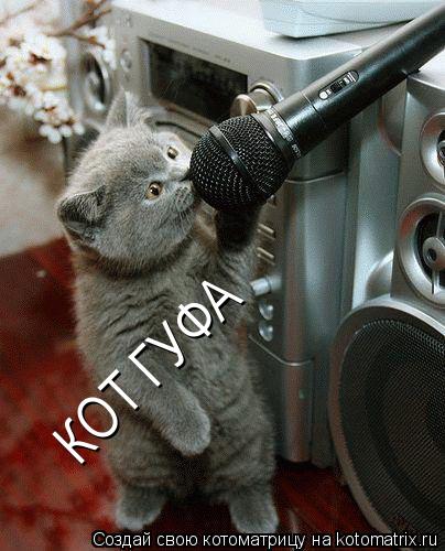 КОТ ГУФА... Котоматрица: КОТ ГУФА