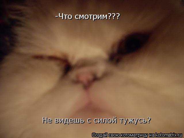 Котоматрица: -Что смотрим??? Не видешь с силой тужусь?