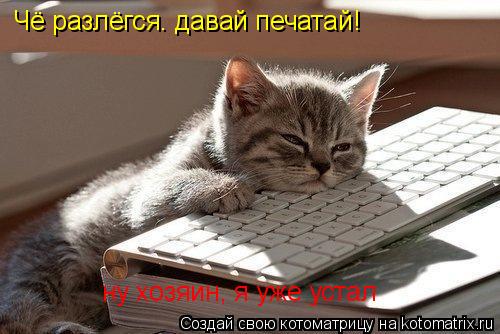 Котоматрица: Чё разлёгся. давай печатай! ну хозяин, я уже устал