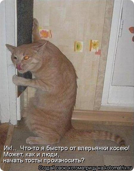 Ик!.. Что-то я быстро от влерьянки косею! Может, как и люди, начать тосты произносить?... Котоматрица: Ик!.. Что-то я быстро от влерьянки косею! Может, как и люди, начать тосты произносить?