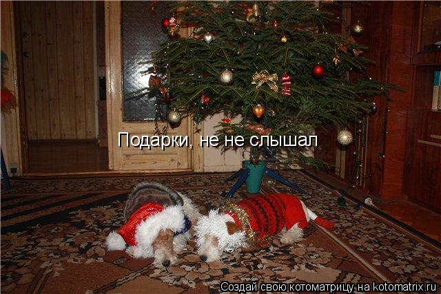 Котоматрица: Подарки, не не слышал