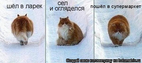 Котоматрица: сел пошёл в супермаркет и огляделся шёл в ларек
