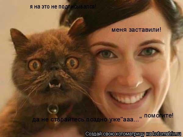я на это не подписывался! меня заставили! помогите! да не старайтесь поздно уже"ааа..."... Котоматрица: я на это не подписывался! меня заставили! помогите! да не старайтесь поздно уже"ааа..."