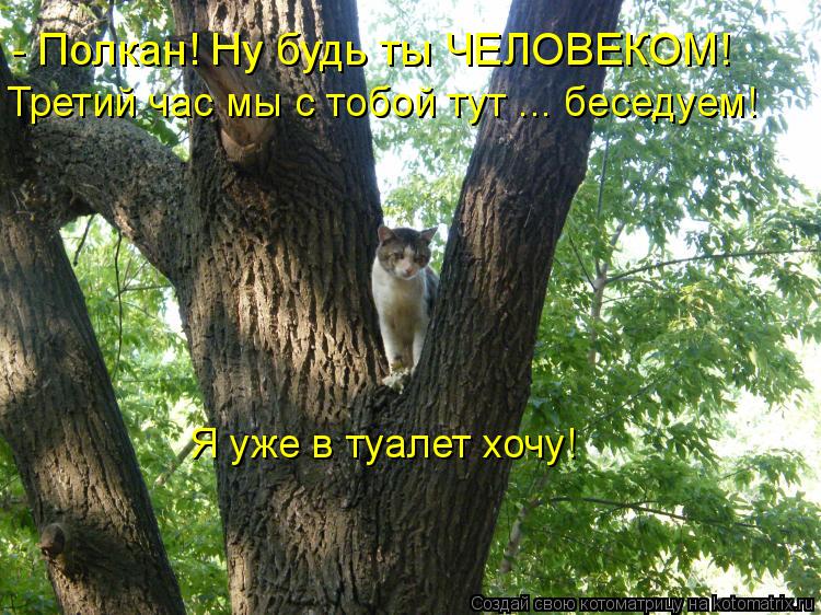 Котоматрица: - Полкан! Ну будь ты ЧЕЛОВЕКОМ! Третий час мы с тобой тут ... беседуем! Я уже в туалет хочу!