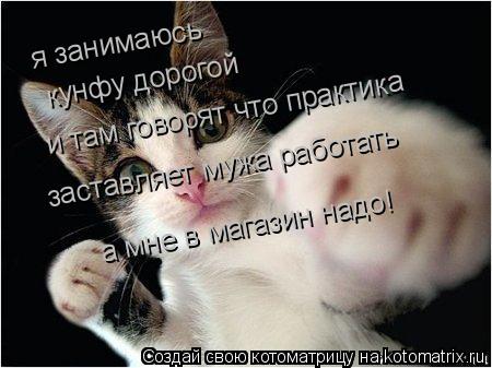 я занимаюсь кунфу дорогой и там говорят что практика заставляет мужа работать а мне в магазин надо!... Котоматрица: я занимаюсь кунфу дорогой и там говорят что практика заставляет мужа работать а мне в магазин надо!