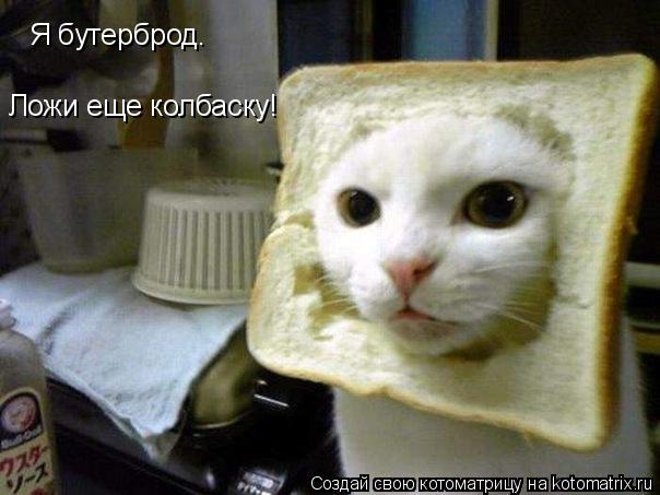 Я бутерброд. Ложи еще колбаску!... Котоматрица: Я бутерброд. Ложи еще колбаску!