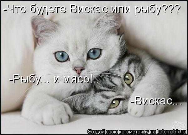 -Что будете Вискас или рыбу??? -Вискас... -Рыбу... и мясо!..... Котоматрица: -Что будете Вискас или рыбу??? -Вискас... -Рыбу... и мясо!..