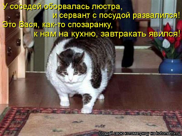 Котоматрица: У соседей оборвалась люстра,  и сервант с посудой развалился! Это Вася, как-то спозаранку,  к нам на кухню, завтракать явился!