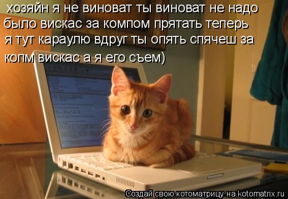 Котоматрица: хозяйн я не виноват ты виноват не надо  было вискас за компом прятать теперь  я тут караулю вдруг ты опять спячеш за  копм вискас а я его съем)