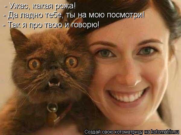 Котоматрица: - Ужас, какая рожа! - Да ладно тебе, ты на мою посмотри! - Так я про твою и говорю!