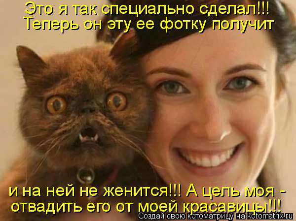 Это я так специально сделал!!! Теперь он эту ее фотку получит отвадить его от моей красавицы!!! и на... Котоматрица: Это я так специально сделал!!! Теперь он эту ее фотку получит отвадить его от моей красавицы!!! и на ней не женится!!! А цель моя -